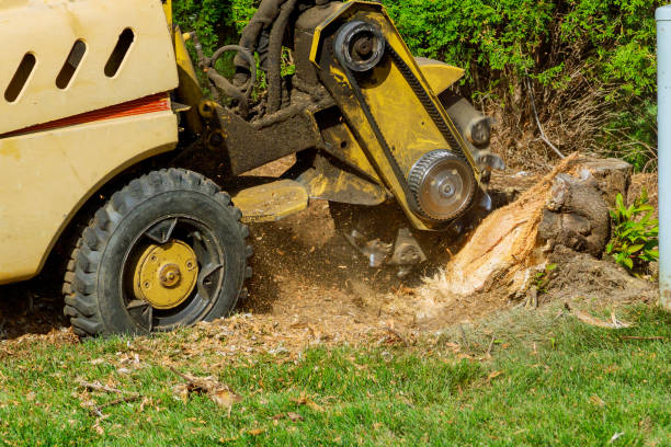 Mulching Services in North Highlands, CA